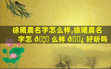 徐曦晨名字怎么样,徐曦晨名字怎 🦍 么样 🌿 好听吗